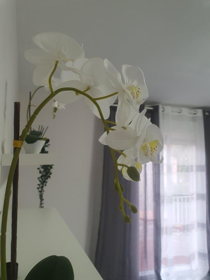 Appartamento Apartamento Turia Valenza Esterno foto